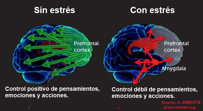 Síndrome de Burnout: La solución (Caso Real)