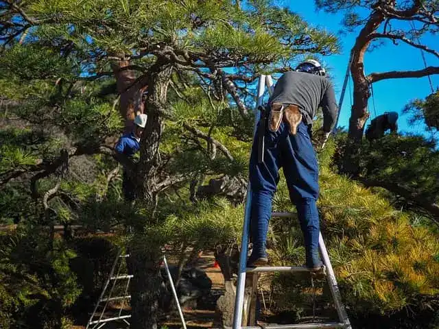 Trabajador con 40 años